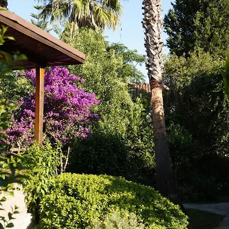 מלון Dalyan Yunus