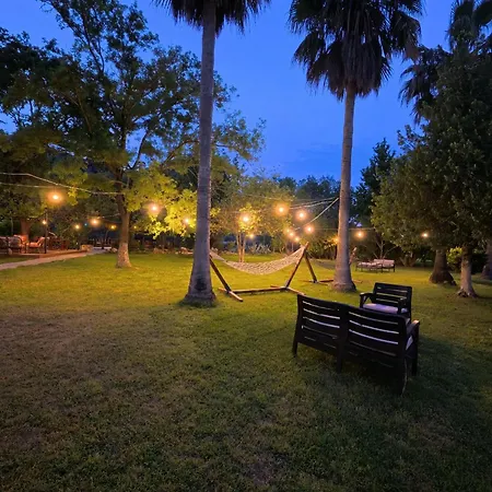 Dalyan Yunus Mugla