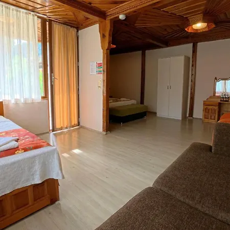 Dalyan Yunus Mugla