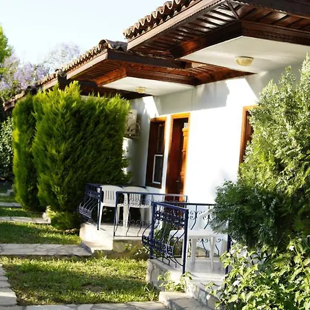 Dalyan Yunus ムーラ