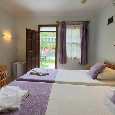 Dalyan Yunus 3* ムーラ