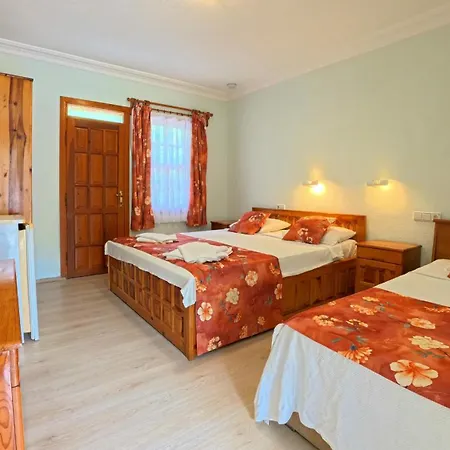 Dalyan Yunus 3*