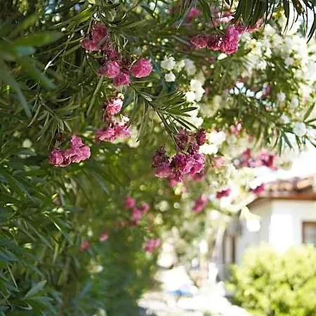 Otel Yunus Dalyan