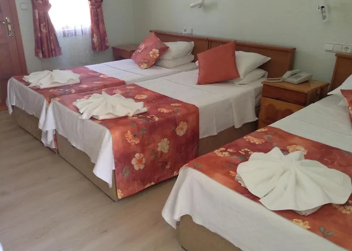 Dalyan Yunus 3* Muğla