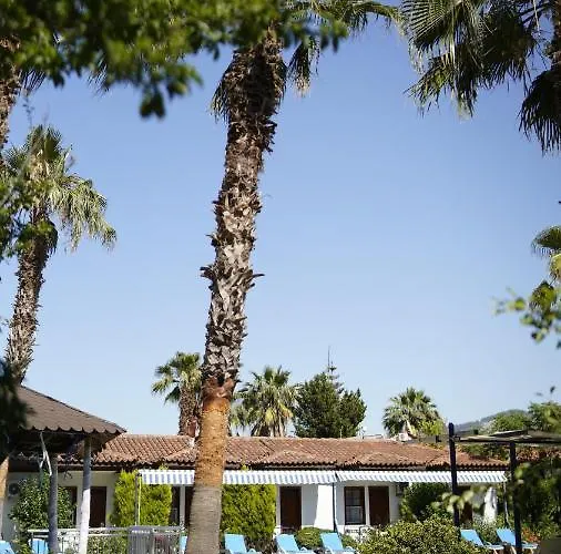 Dalyan Yunus 3* Muğla