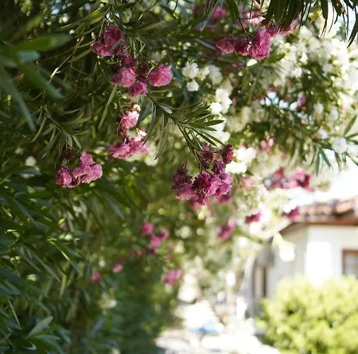 Dalyan Yunus 3* Muğla